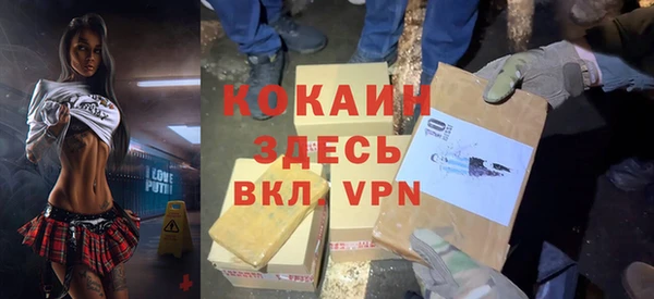 дживик Осинники