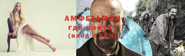 индика Ветлуга