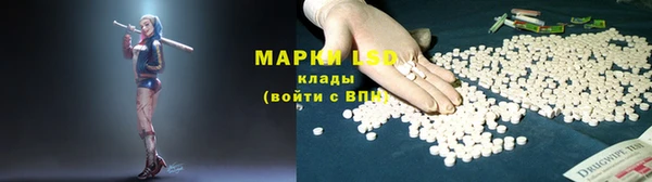 дживик Осинники