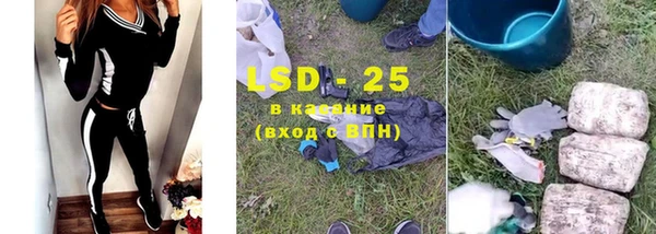 дживик Осинники