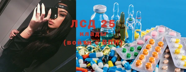 прущие грибы Остров