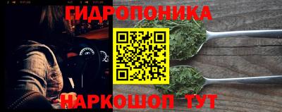 apvp Гагарин
