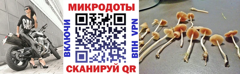 наркошоп нарко площадка официальный сайт Псилоцибиновые грибы мицелий Кировск