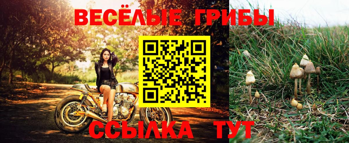 Псилоцибиновые грибы Cubensis  Галлюциногенные грибы мухоморы  Кировск  Вход с VPN 