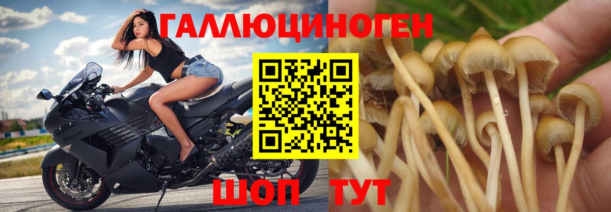 Галлюциногенные грибы MAGIC MUSHROOMS Кировск