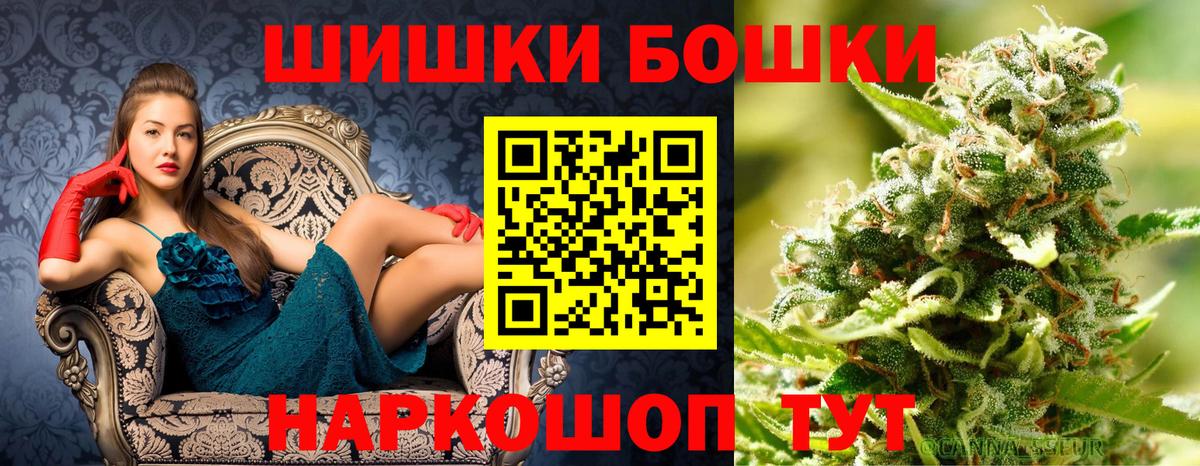 Бошки марихуана THC 21%  Марихуана ГИДРОПОН  Вход с VPN  Кировск  Марихуана марихуана 